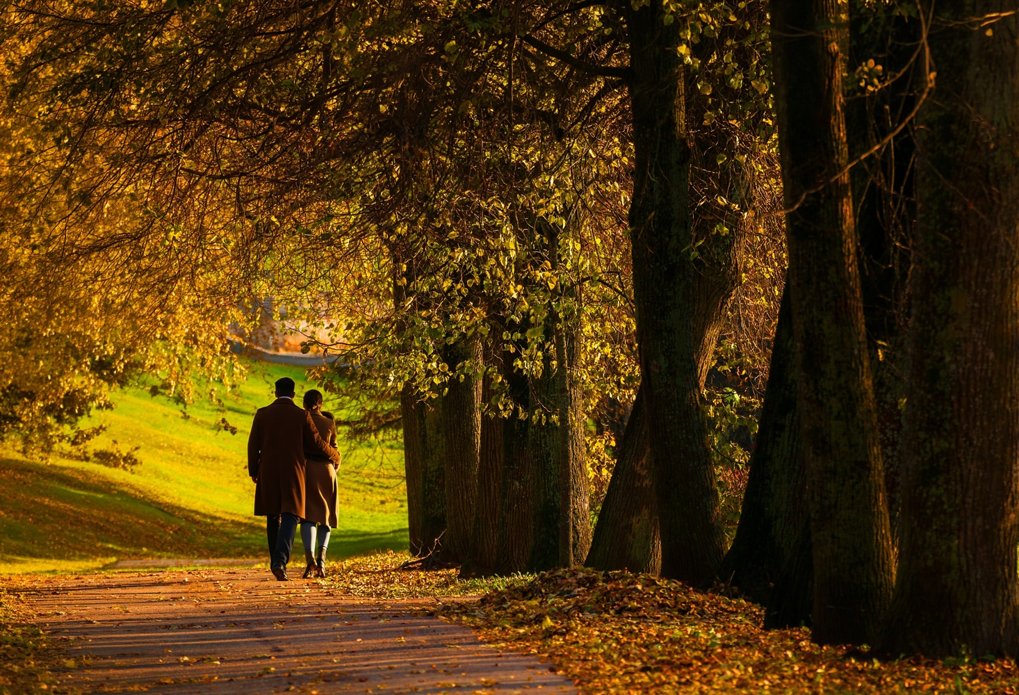 An Autumn Escape